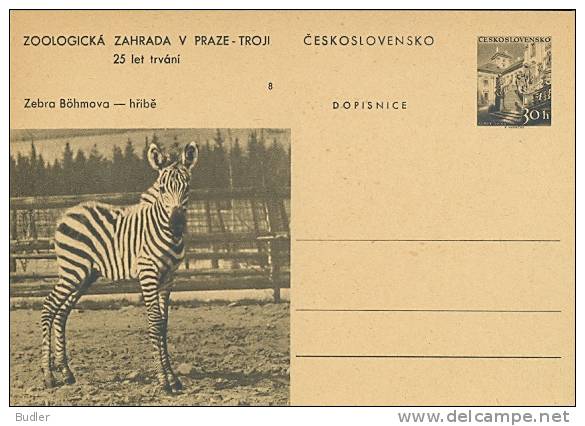 CESKOSLOVENSKO : Not-travelled Postal Stationery : FAUNA,WILD ANIMALS,ZEBRA, - Game