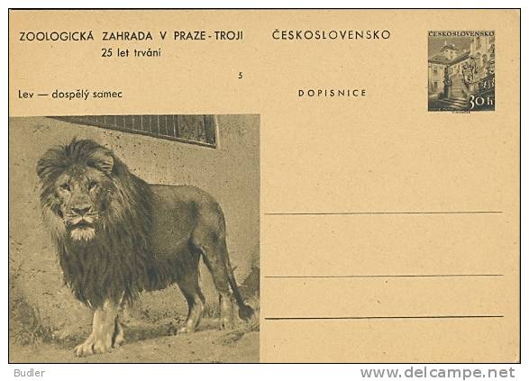 CESKOSLOVENSKO : Not-travelled Postal Stationery : FAUNA,WILD ANIMALS,LEEUW,LION, - Gibier