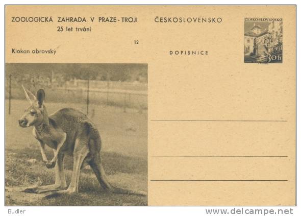 CESKOSLOVENSKO : Not-travelled Postal Stationery : FAUNA,WILD ANIMALS,KANGAROO, - Game