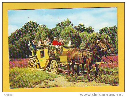 Postcard - Luneburger Heide    (V 15907) - Lüneburger Heide