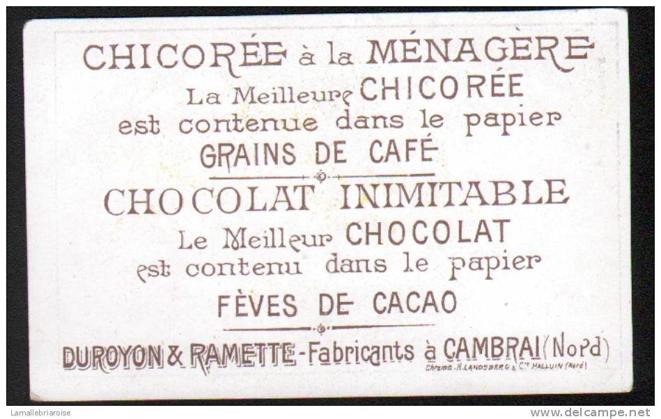 CHROMO - CHOCOLAT DUROYON & RAMETTE CAMBRAI NORD 59 - FILLETTES OEUF POUSSINS - Duroyon & Ramette