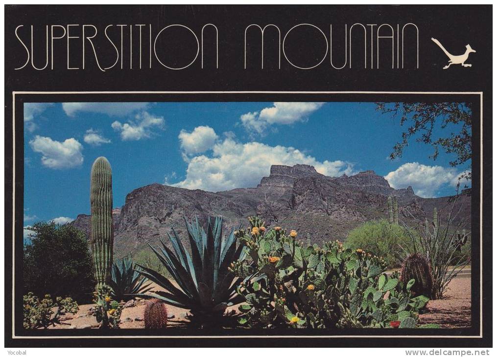 Cp , ETATS-UNIS ,  PHOENIX , View Of Superstition Mountain - Phoenix