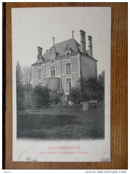 86 LUSSAC LES CHATEAUX VILLA DES ROSEAUX - Lussac Les Chateaux