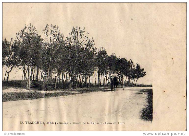 La Tranche Sur Mer   85   Route De La Terrière    ( Gondolée) - La Tranche Sur Mer