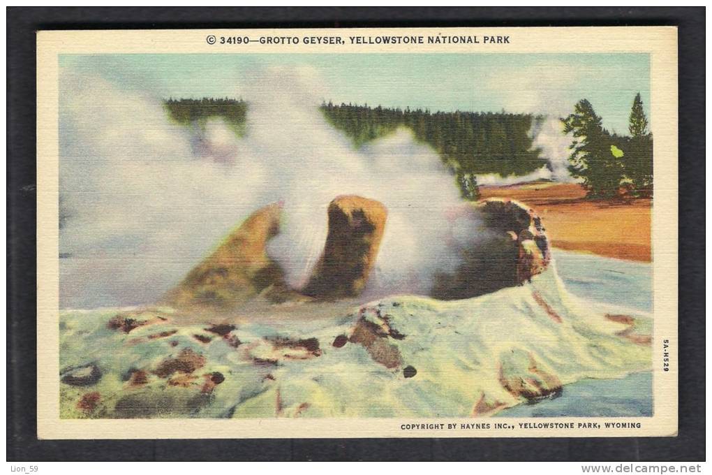 130135 /  GROTTO GEYSER  , YELLOWSTONE NATIONAL PARK -  United States Etats-Unis USA - USA National Parks