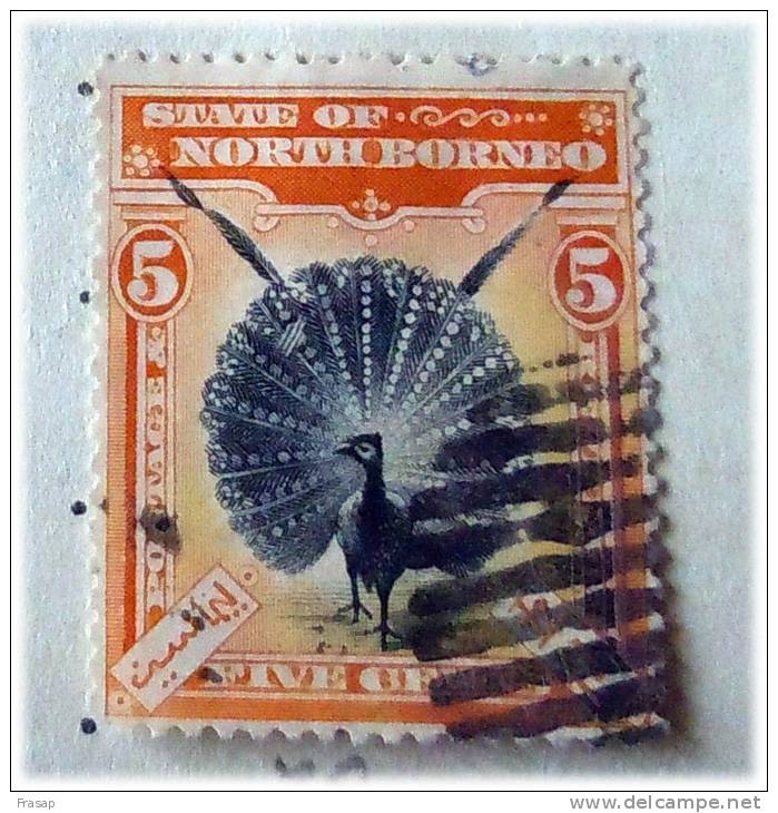NORD BORNEO 5 CENT  USATO LINGUELLA - North Borneo (...-1963)