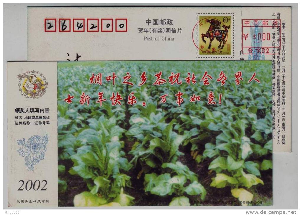 Hometown Of Tobacco Planting,China 2002 Ji'an New Year Greeting Advertising Pre-stamped Card - Tabacco