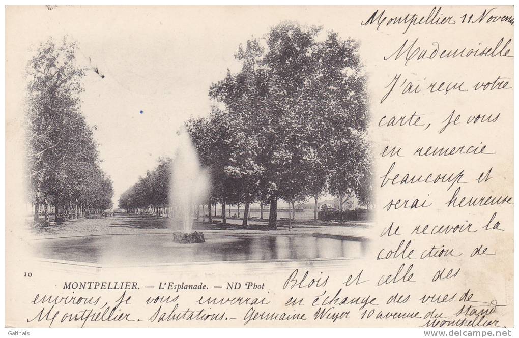 Hérault (34) - Montpellier 1900 - Montpellier
