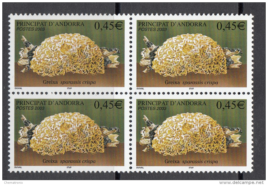 Andorra 2003 - Yvert: 583, 584, 585, 586, 587  - Bloques De 4 -  ** MNH - Unused Stamps