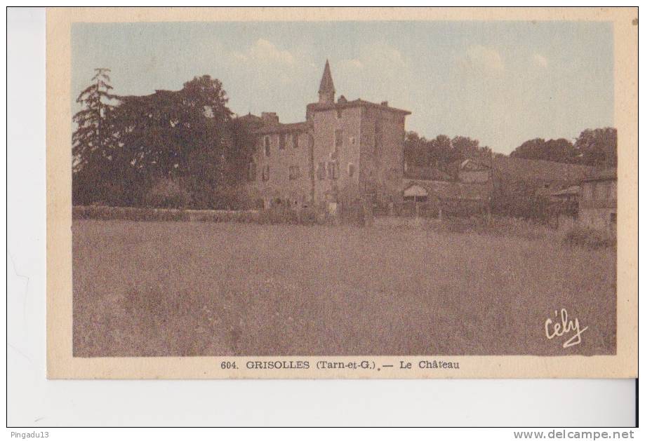 Grisolles Le Château - Grisolles