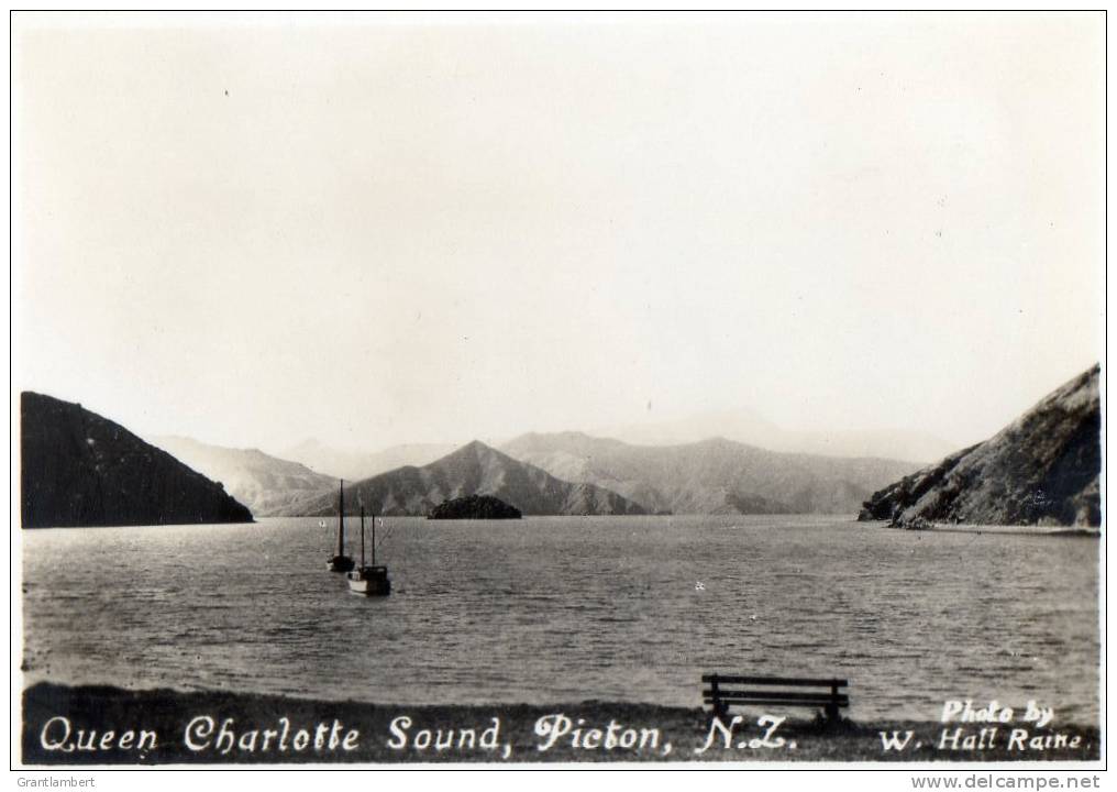 Queen Charlotte Sound, Picton, New Zealand - Hall Raine - Vintage View Card 8.5 X 7 Cm, Unused - New Zealand