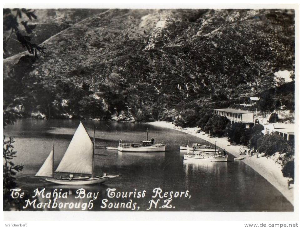 The Mahia Bay Tourist Resort, Marlborough Sounds, New Zealand - Vintage View Card 8.5 X 7 Cm, Unused - New Zealand