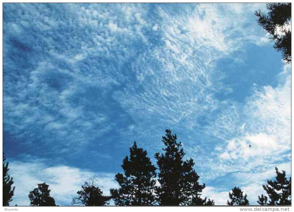 Entier Postal Sur Carte Postale Avec Illustration "Nuages - Cirrocumulus Undulatus" - 2001-10