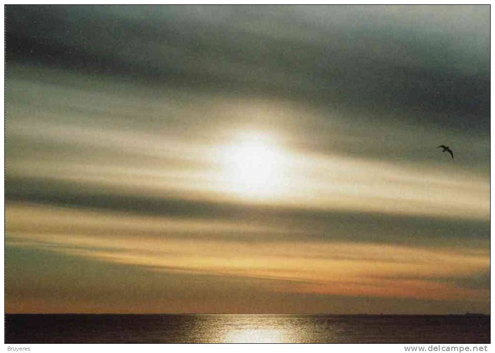 Entier Postal Sur Carte Postale Avec Illustration "Nuage - Altostratus Translucidus" - 2001-10