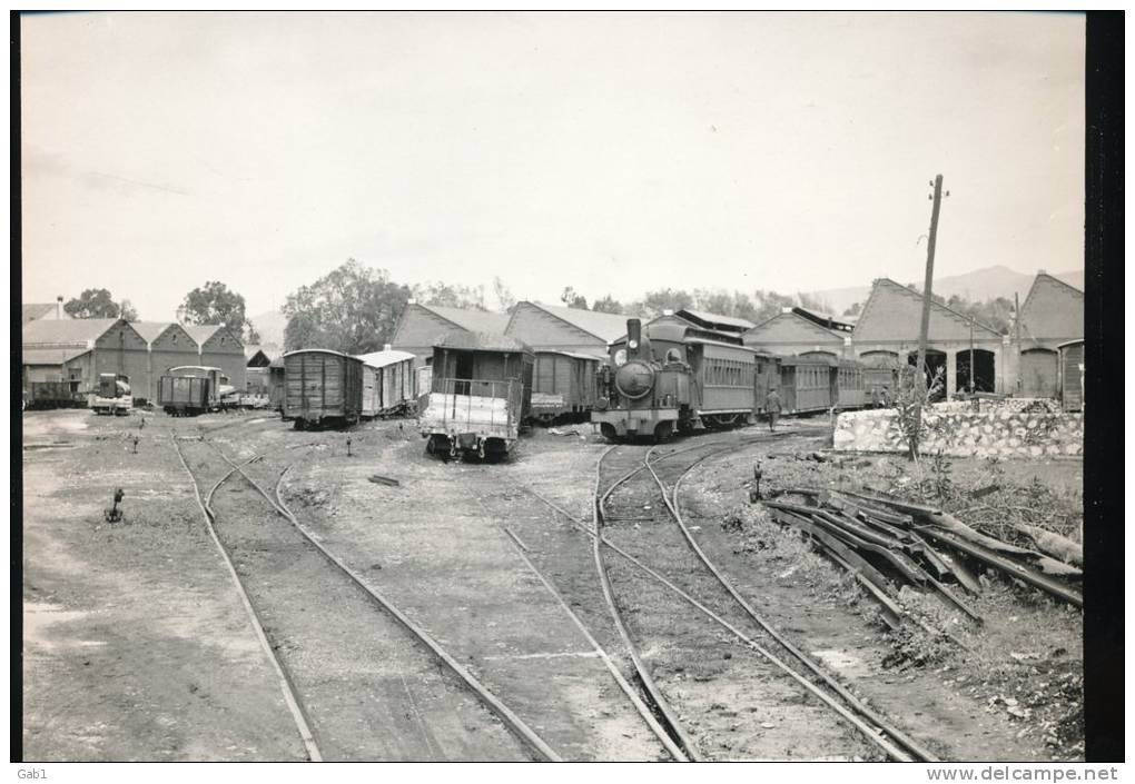 Train  ---  Vue Generale Du Depot De Huelin --- 1962 - Trains