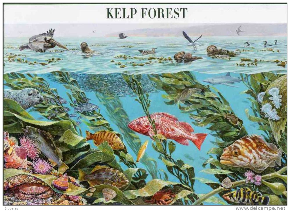 Entier Postal De 2009 Sur Carte Postale Avec  Timbre Et Illust. "Kelp Forest " - 2001-10