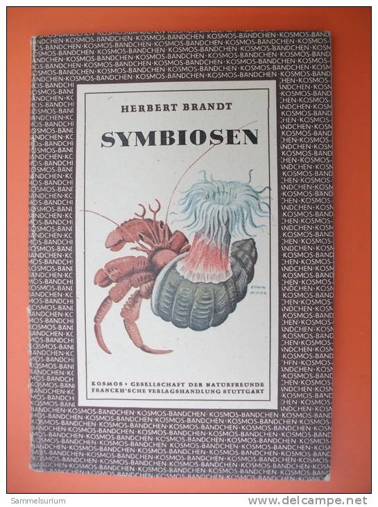 "Symbiosen" Von Herbert Brandt (Kosmos Gesellschaft Der Naturfreunde) Von 1949 - Dieren