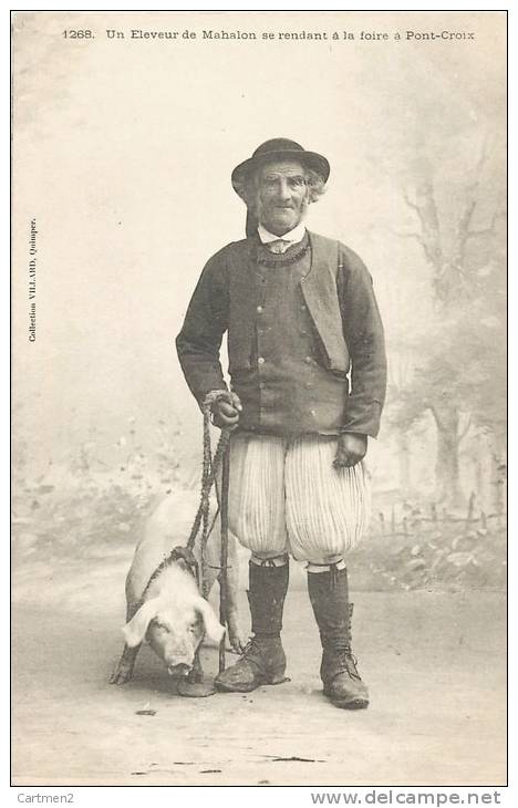 PONT-CROIX ELEVEUR DE MAHALON SE RENDANT A LA FOIRE COCHON GORET PORC 1900 - Pont-Croix