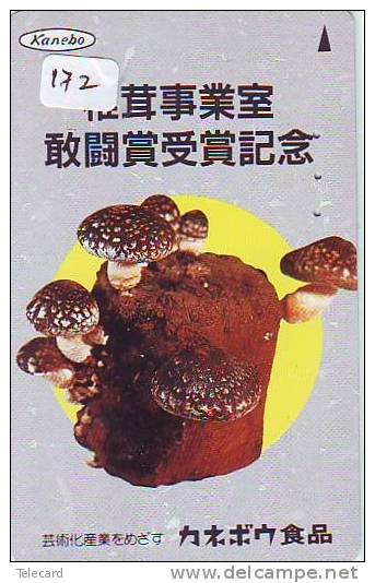 Télécarte Japon * CHAMPIGNON * Telefonkarte (172) MUSHROOM * Japan Phonecard * PADDESTOEL * FUNGO * SETA * PILZ - Alimentation