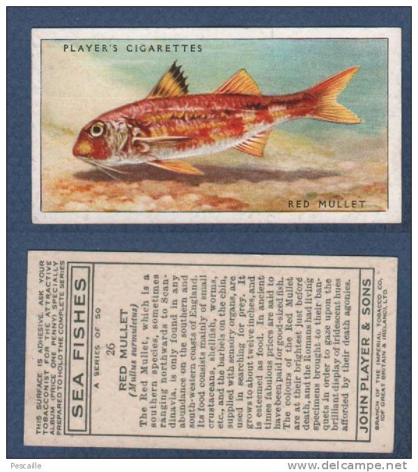 CHROMO PLAYER´S CIGARETTES - SEA FISHES - RED MULLET - Rouget-barbet De Roche - Player's