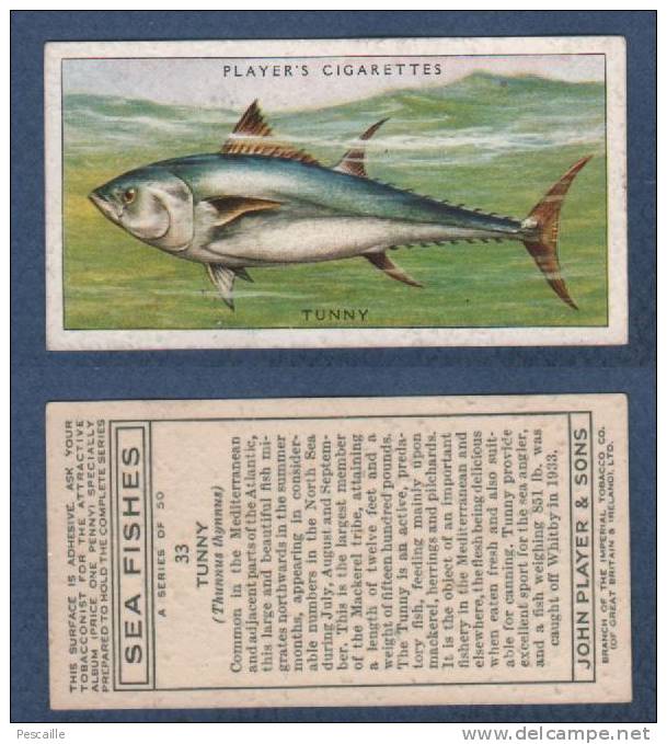 CHROMO PLAYER´S CIGARETTES - SEA FISHES - TUNNY - Thon Rouge Du Nord - Player's