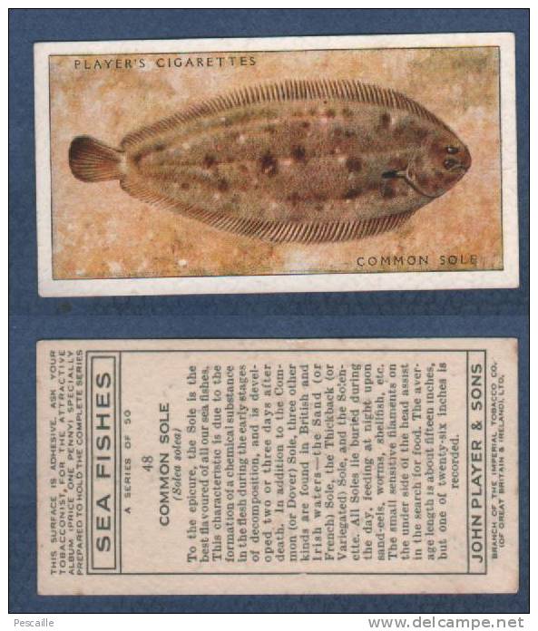 CHROMO PLAYER´S CIGARETTES - SEA FISHES - COMMON SOLE - SOLE COMMUNE - Player's