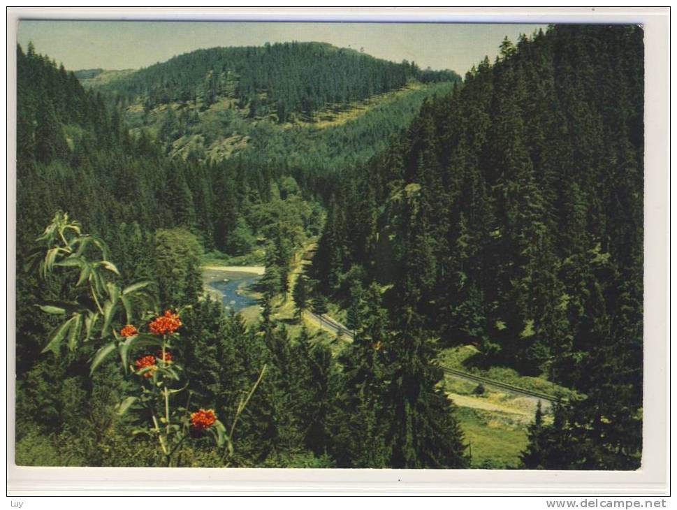 Bad Steben Im Frankenwald - Stahl- Moor- Und Radiumbad, Höllental - Bad Steben