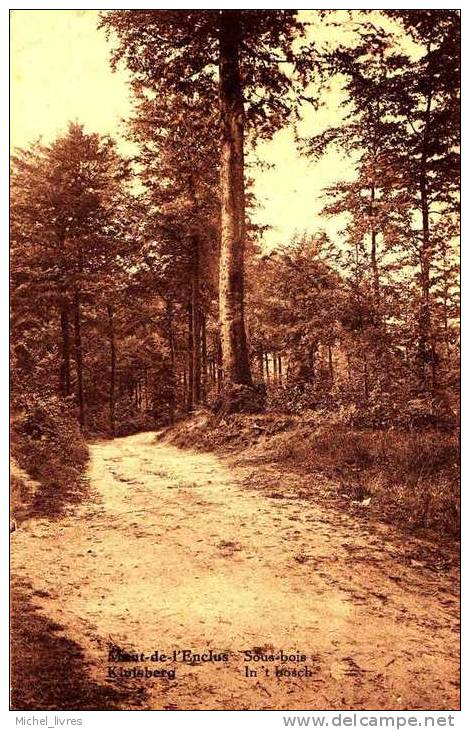 Mont-de-l'enclus - Kluisberg - Sous-bois - In 't Bosch - Dos Séparé - Circulé En 1934 - TBE - Mont-de-l'Enclus