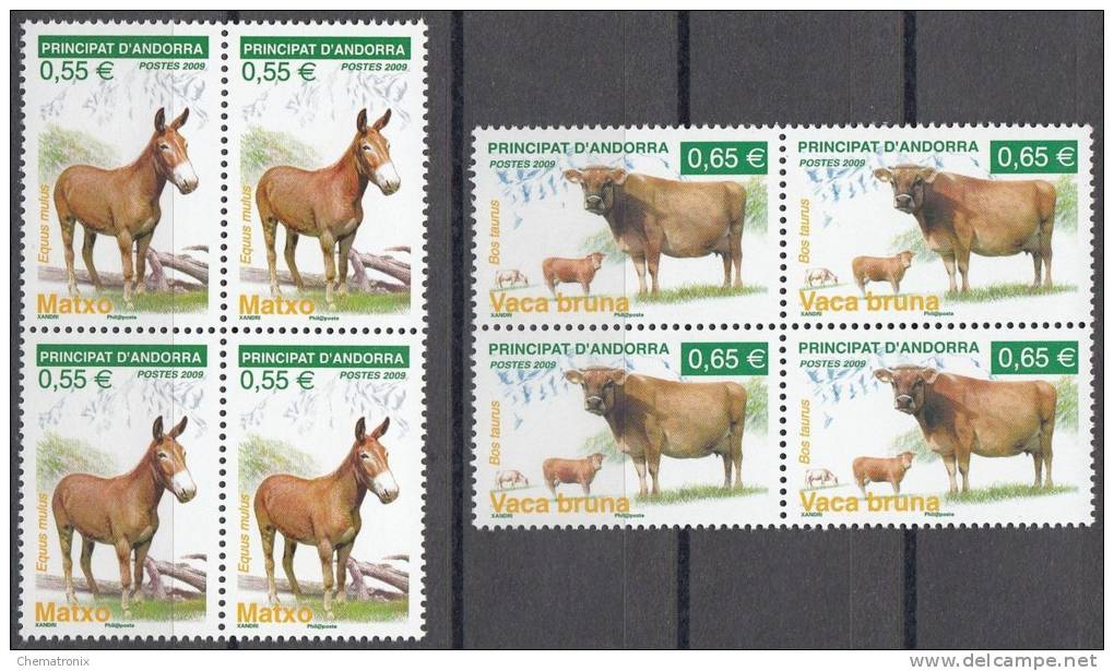 Andorra 2009 - Yvert: 667-668, 669, 672, 674, 675 (6v.) - Bloques De 4 -  ** MNH - Unused Stamps