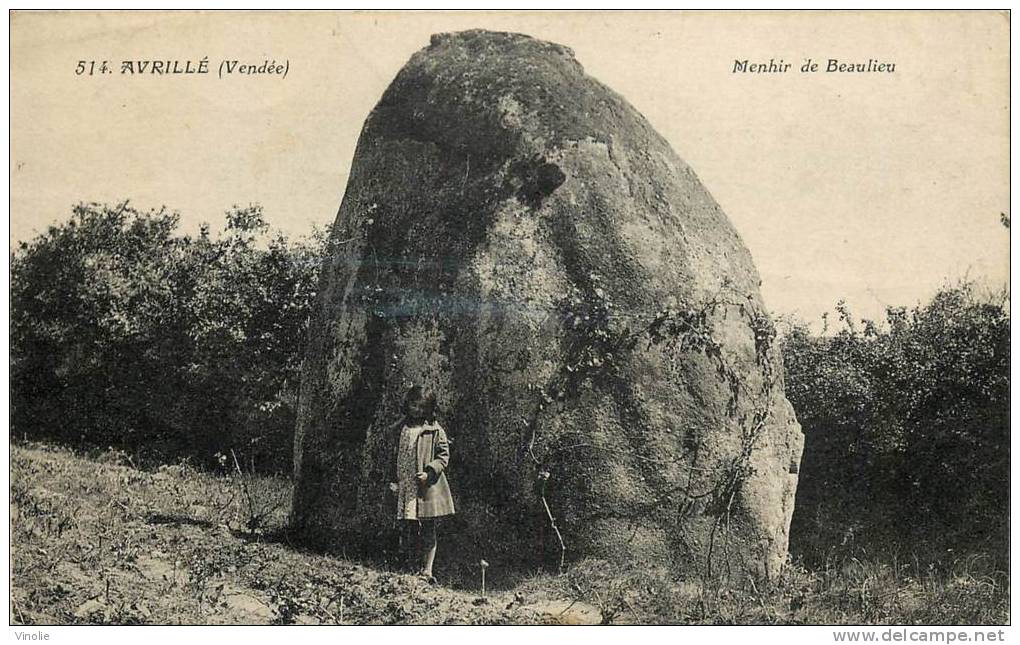 Réf : T-12- 106  : Avrillé Mégalithe Menhir - Sonstige & Ohne Zuordnung