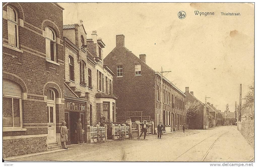 WINGENE - Thieltstraat - Wingene