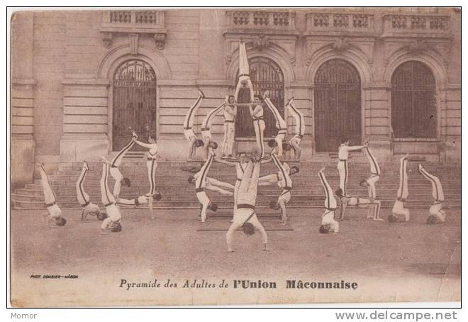 GYMNASE UNION MACÔNNAISE  Pyramide Des Adultes - Gymnastique