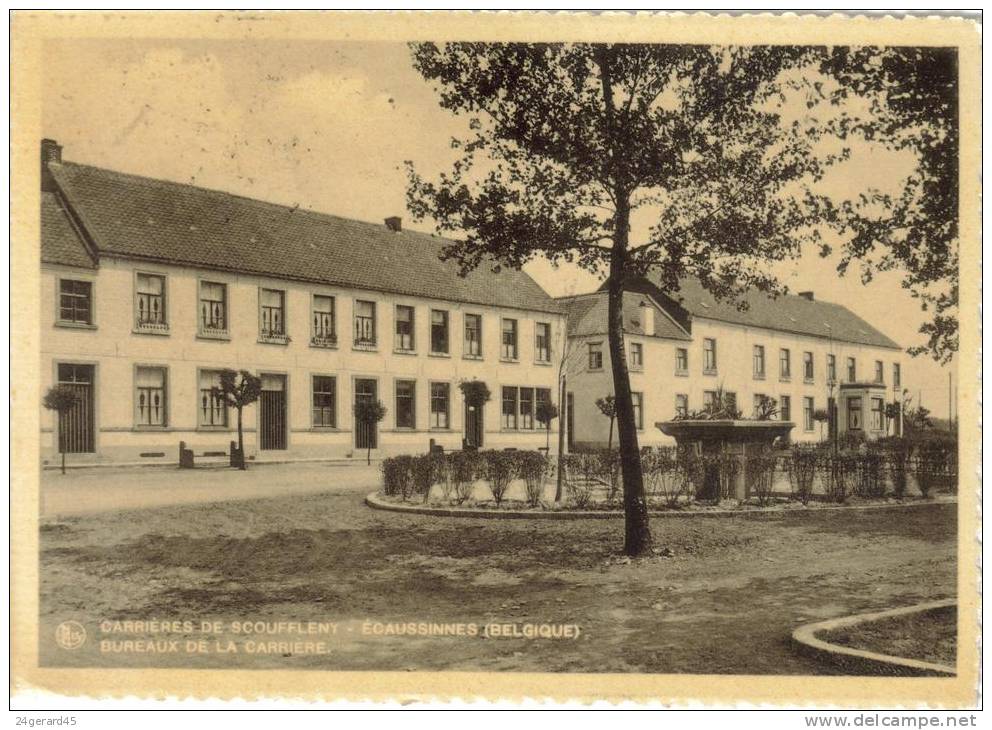 CPSM ECAUSSINNES (Belgique-Hainaut) - Carrieres De Scouffleny : Bureaux - Ecaussinnes