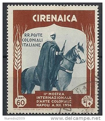 1934 CIRENAICA USATO MOSTRA D'ARTE COLONIALE 60 CENT - RR11159 - Cirenaica