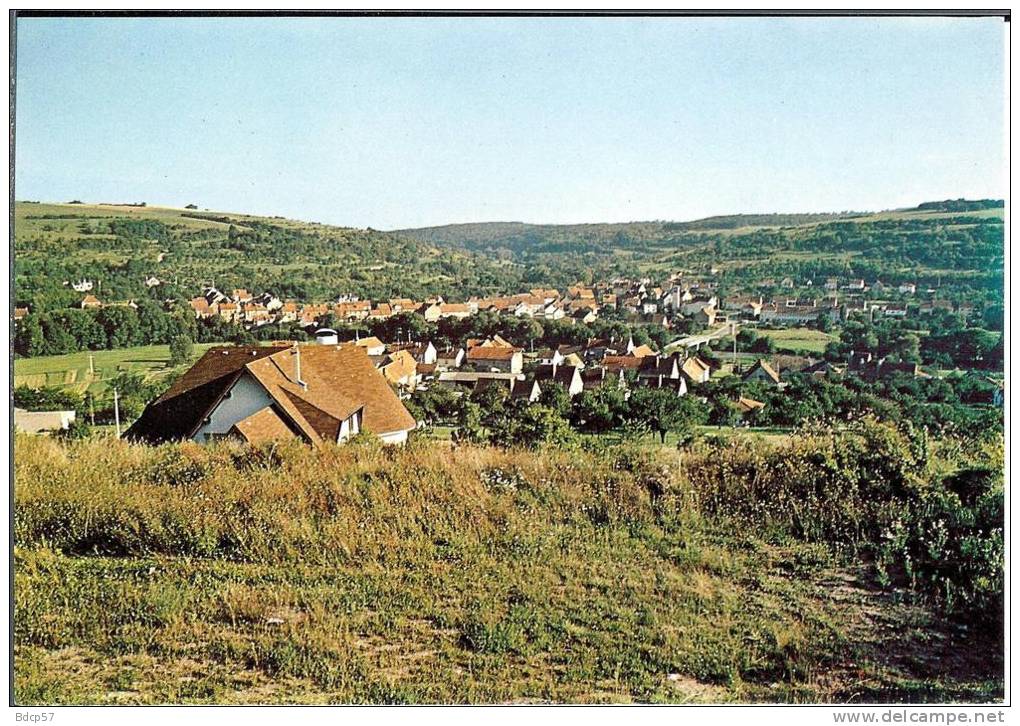 57 - Moselle - BLIESBRUCK - Vue Générale - Format 10,3  X  14,8 - Pierron  11319 - Autres & Non Classés