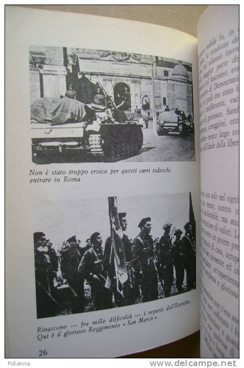 PBL/35 COS´E´ STATA LA RESISTENZA : Dalla Caduta Del Fascismo Alla Costituzione Repubbl.I.Pietra Ed.delle Autonomie 1979 - Italiano