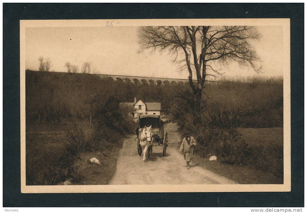 LUSIGNAN - Le Chemin Du Parc Et Le Viaduc Du Chemin De Fer Dit Des "Treize Arches " - Lusignan