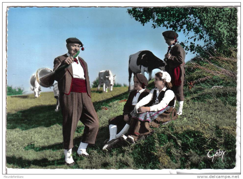 OSSUN (65) - CPSM - Groupe Folklorique CEÜ BIGOURDAN ... Trompes De Chasse, Bergers, Bergeres, Vaches, Pyrénées - Ossun