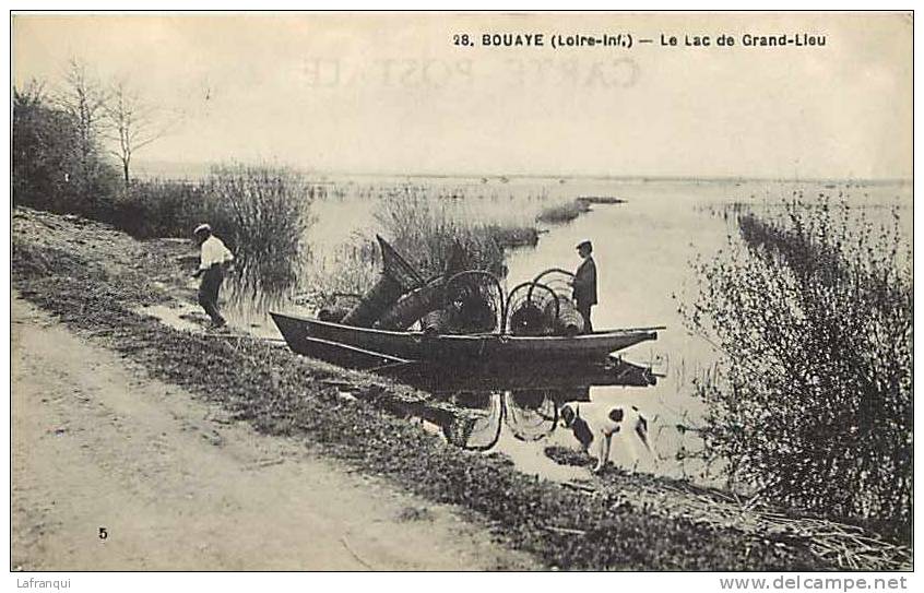 Loire Atlantique -ref A471- Bouaye - Le Lac Du Grand Lieu - Peche -pecheurs   -carte Bon Etat  - - Bouaye