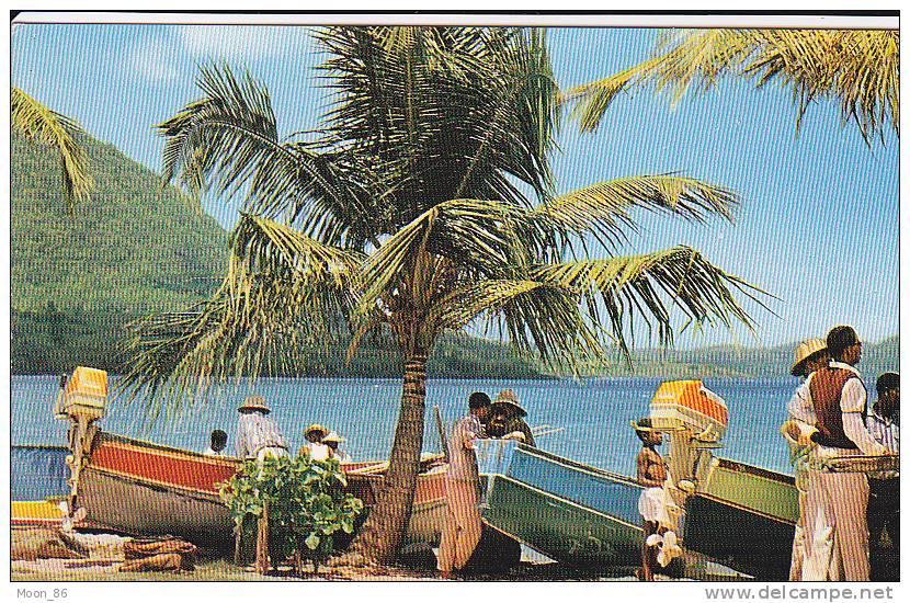 972  - LA MARTINIQUE - SAINTE LUCE- Repos Des Pêcheurs Sur La Plage - Autres & Non Classés