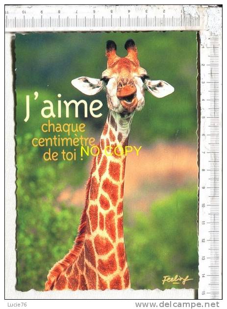 GIRAFE -  J'aime Chaque Centimère De Toi !  -  Feelong - Giraffen