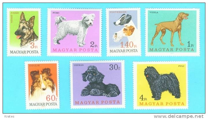 Stamps - Hungary - Neufs