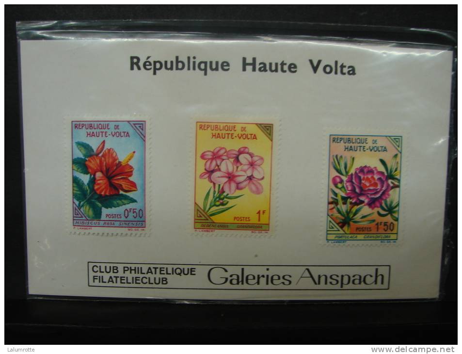 PDG. Cl.4.18. Fleurs De Haute Volta. Club Philatélique Des Galeries Anspach - Haute-Volta (1958-1984)