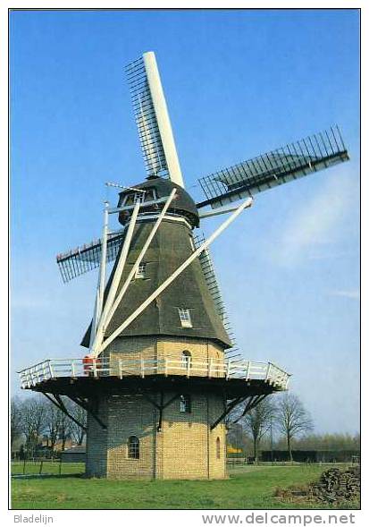 OERLE Bij Veldhoven (Noord-Brabant) - Molen/moulin - Stellingmolen "Sint-Jan" In 1996, Opgezeild En In Werking. TOP! - Other & Unclassified