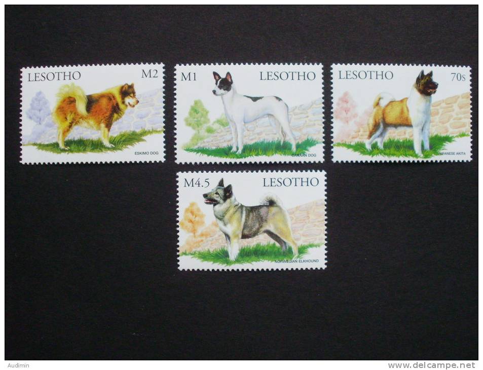 Lesotho 1441/4 ++ Mnh, Hunderassen Aus Aller Welt - Lesotho (1966-...)