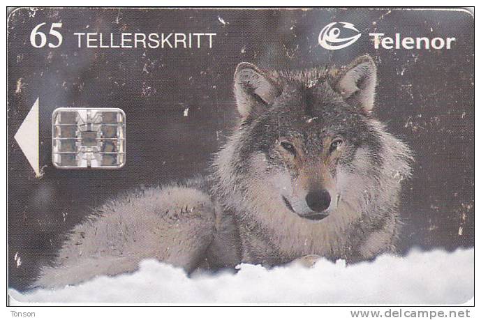 Norway, N113, Ulv / Wolf, Animal, CN : C82022542, 2 Scans. - Norway