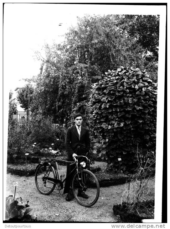 Plaque Photographique Négative Ancienne  Cycliste Vélo Dans Un Parc Belle Composition ( - Cycling