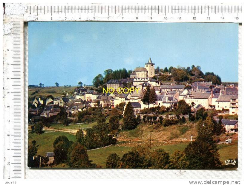 LAGUIOLE  - Alt   1400 M. -  Vue Générale - Laguiole