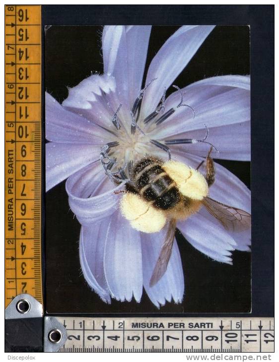 D1189 Hosenbiene - Schweizerischer Bund Fur Naturschutz - Sektionen Zurich Und Zug -honingbij,  Abeille, Ape, Bee, - Insects