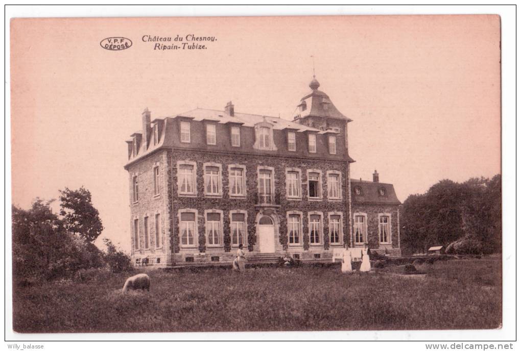 TUBIZE  Le Château De Chesnoy RIPAIN - Tubeke
